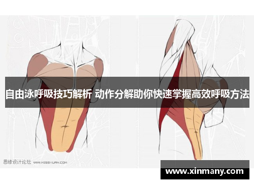 自由泳呼吸技巧解析 动作分解助你快速掌握高效呼吸方法