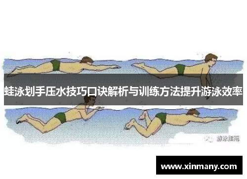 蛙泳划手压水技巧口诀解析与训练方法提升游泳效率